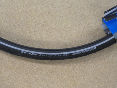 schwalbe